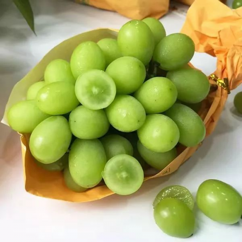 ɿڣõﳢ¿ζ