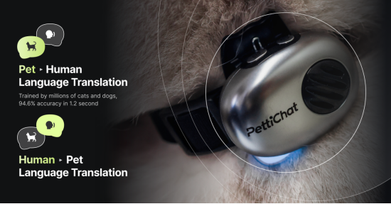 宠物AI赛道升温,Pettichat获藕舫创投、华旦投资100万美金天使轮融资
